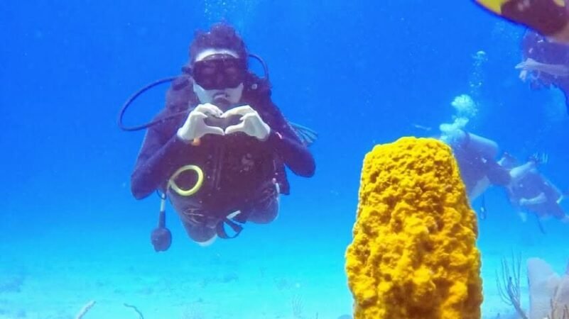 Unforgettable Tours & Transfers | Dominican Dream Vacation - Discover the Dominican Republic 2025