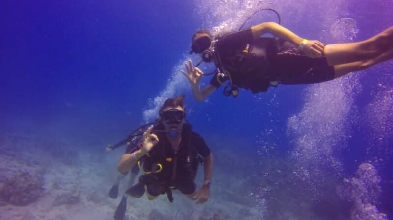 Unforgettable Tours & Transfers | Dominican Dream Vacation - Discover the Dominican Republic 2025