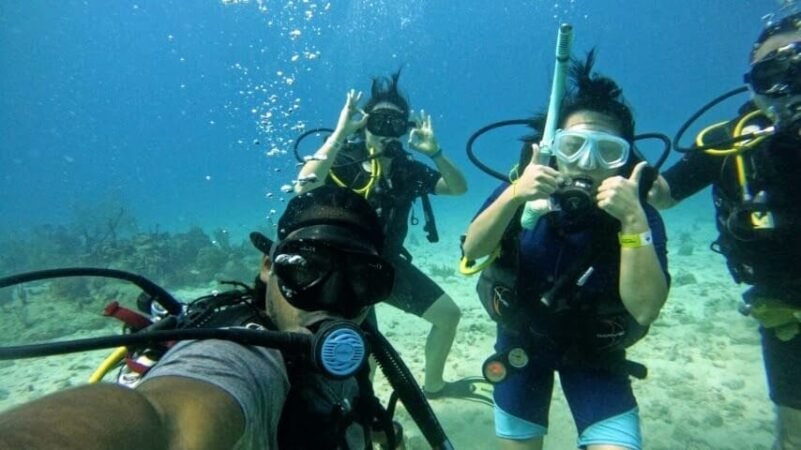 Unforgettable Tours & Transfers | Dominican Dream Vacation - Discover the Dominican Republic 2025
