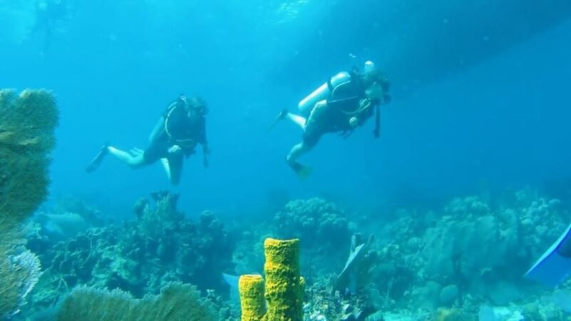 Unforgettable Tours & Transfers | Dominican Dream Vacation - Discover the Dominican Republic 2025
