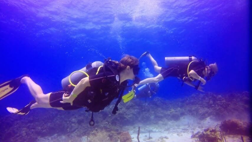 Unforgettable Tours & Transfers | Dominican Dream Vacation - Discover the Dominican Republic 2025