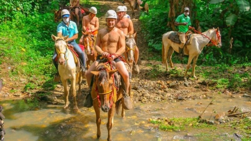 Unforgettable Tours & Transfers | Dominican Dream Vacation - Discover the Dominican Republic 2025