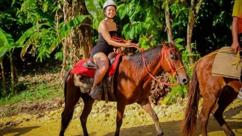Unforgettable Tours & Transfers | Dominican Dream Vacation - Discover the Dominican Republic 2025